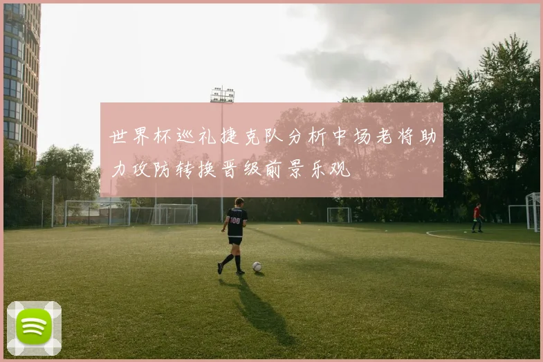 世界杯巡礼捷克队分析中场老将助力攻防转换晋级前景乐观